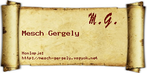 Mesch Gergely névjegykártya